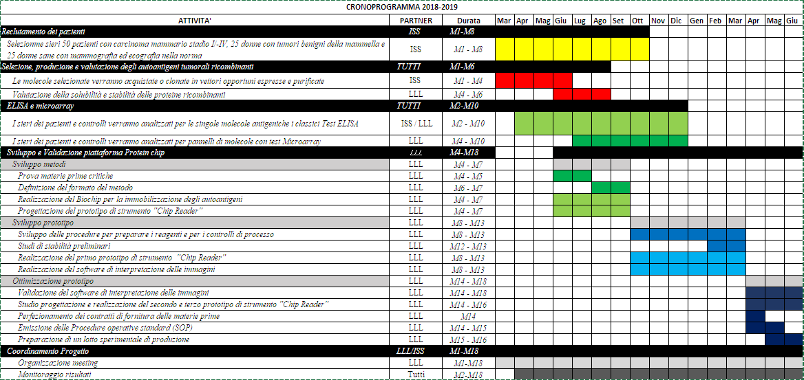 Gantt progetto